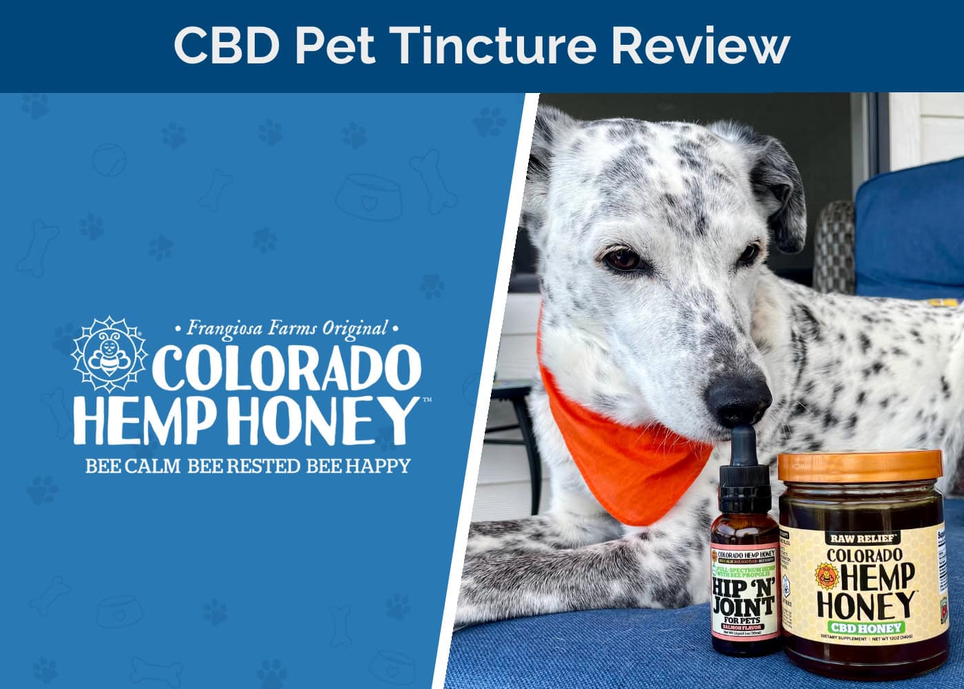 Colorado Hemp Honey CBD Pet Tincture
