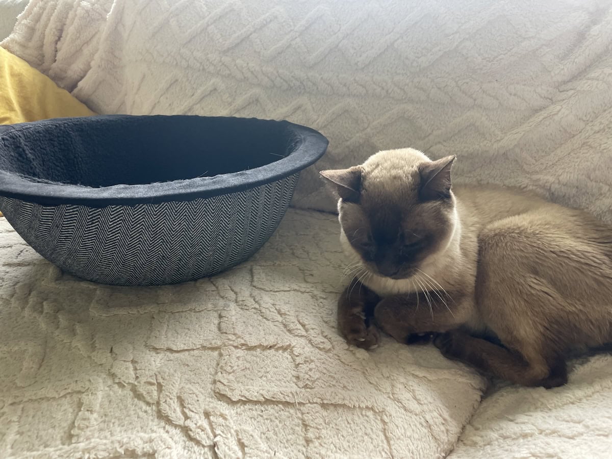 I don't hate it, but we're not in love just yet (only 1 hour after the Nest arrived).