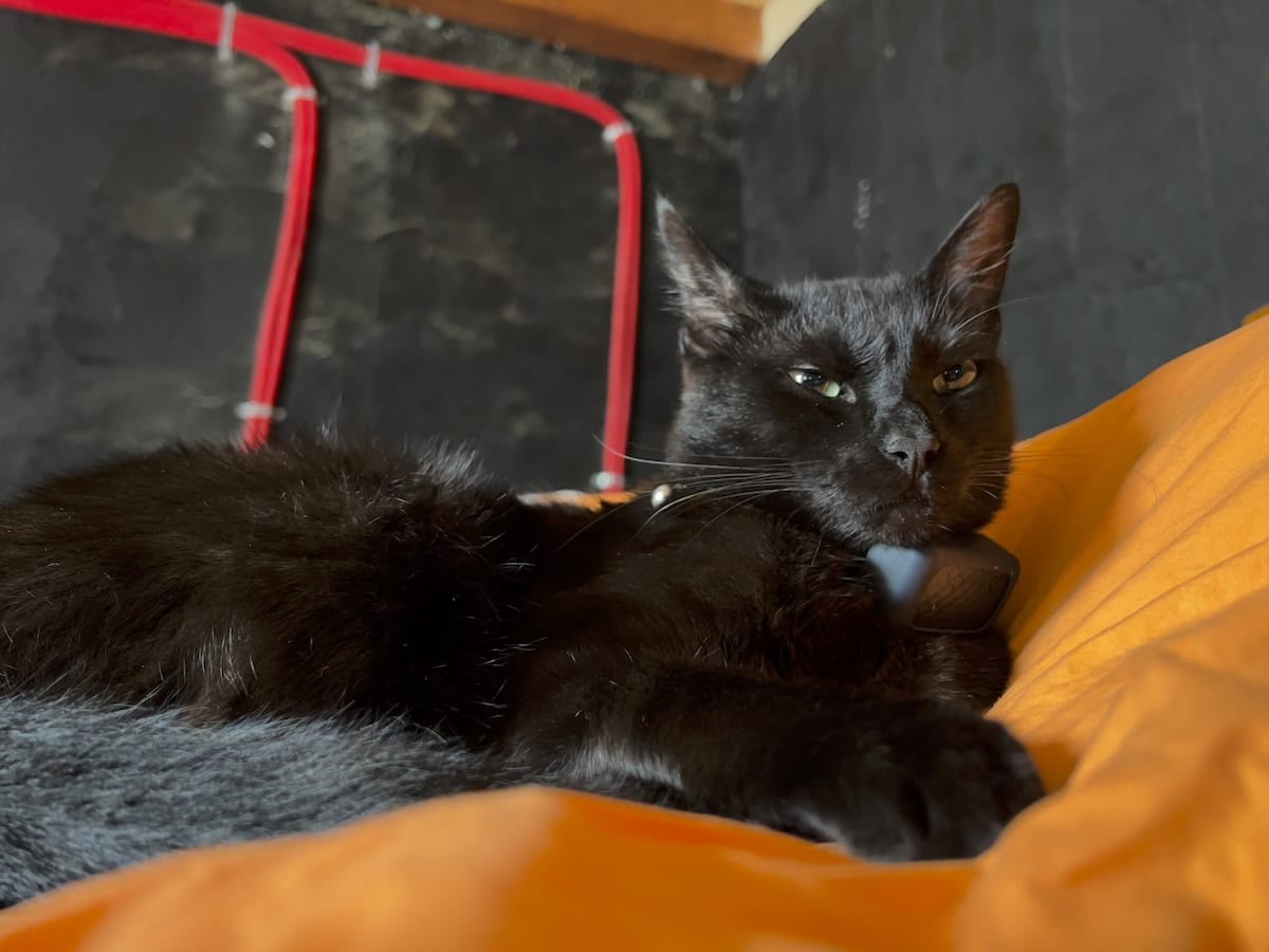 Miki lying in bed
