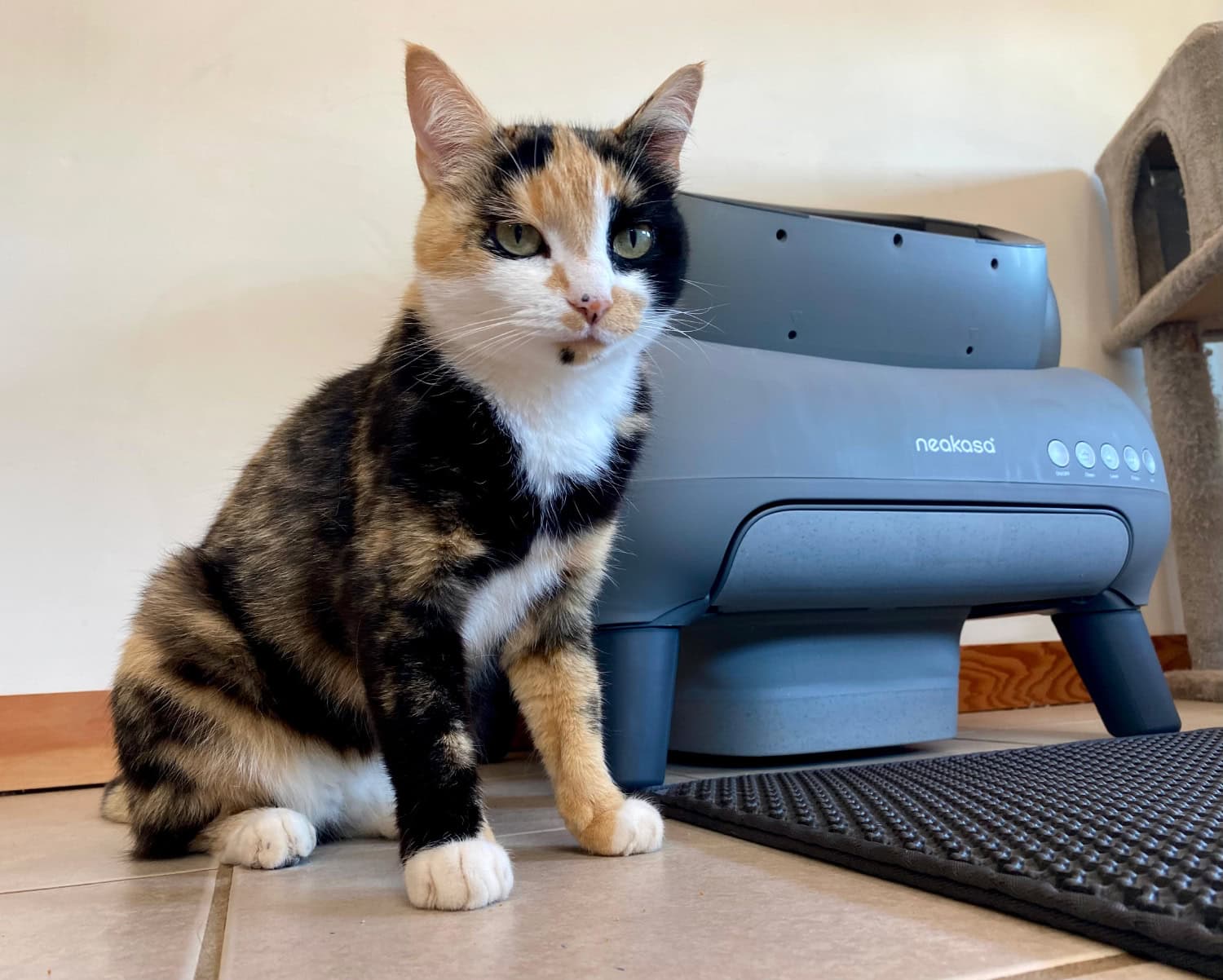 Neakasa M1 Cat Litter Box - cat sitting next to the product