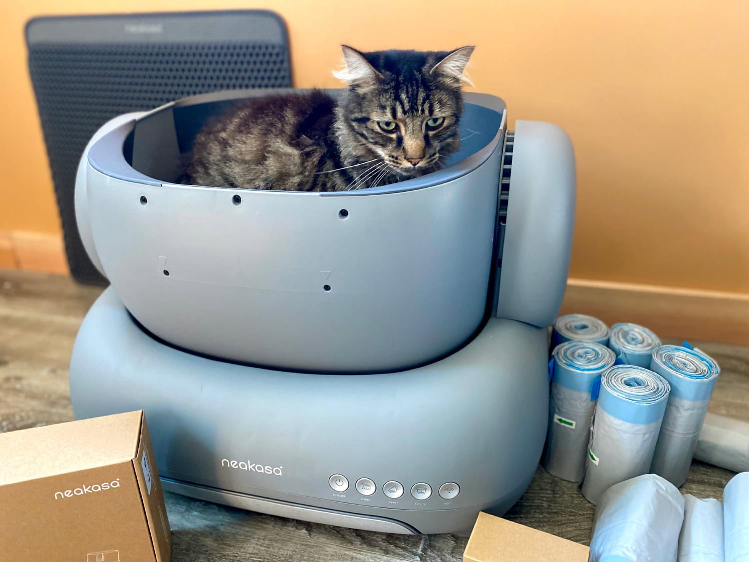 Neakasa M1 Cat Litter Box - cat using the product