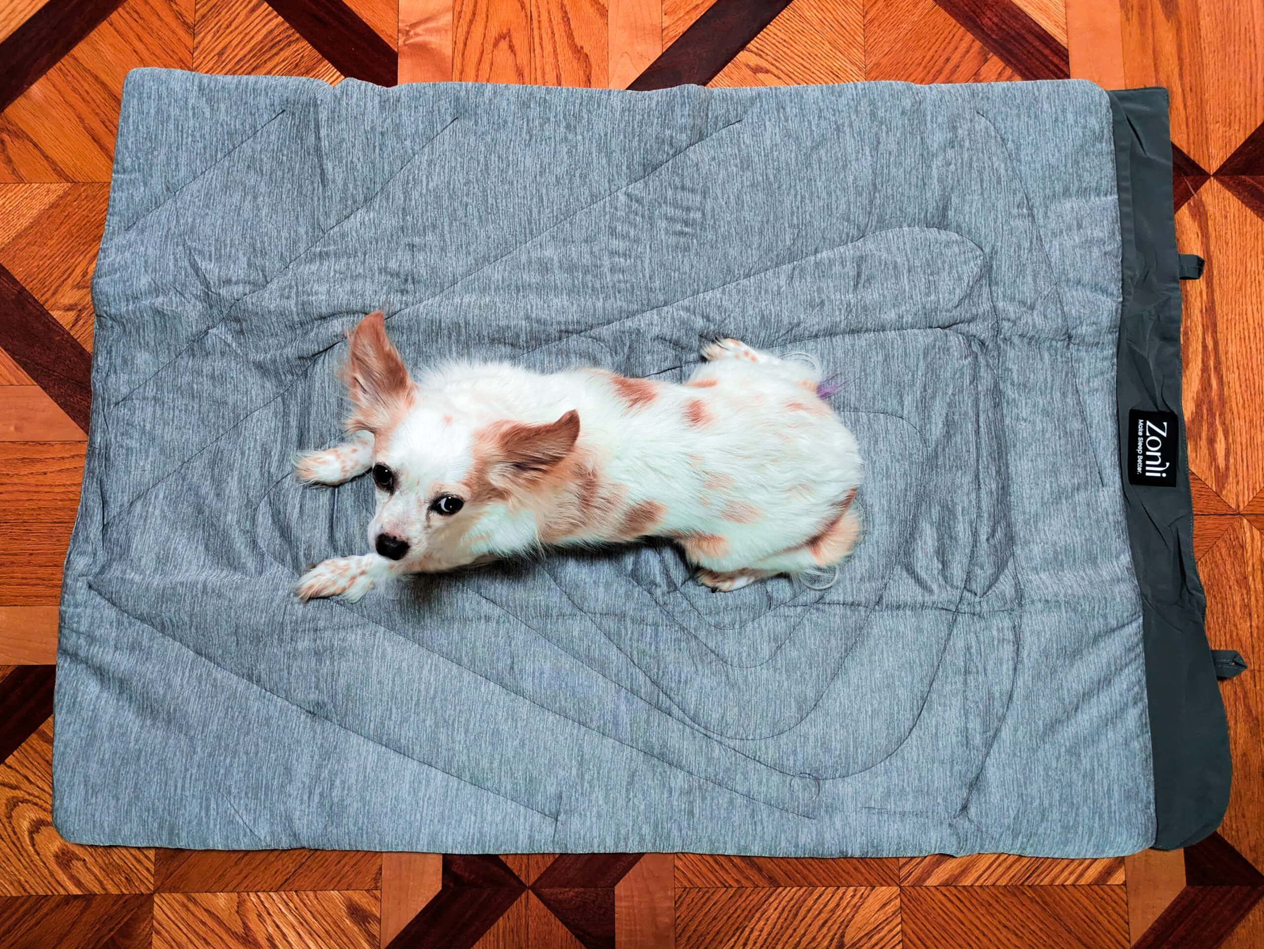 Zonli Pet cooling mat with dog 2