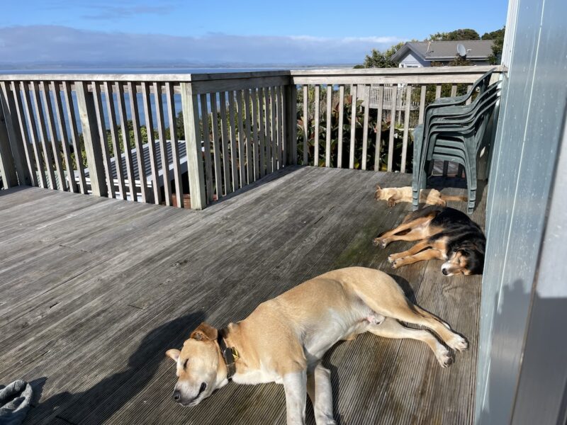 Quality time with loved ones