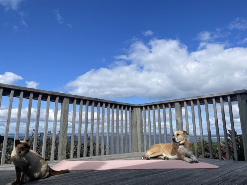 Physical health benefits