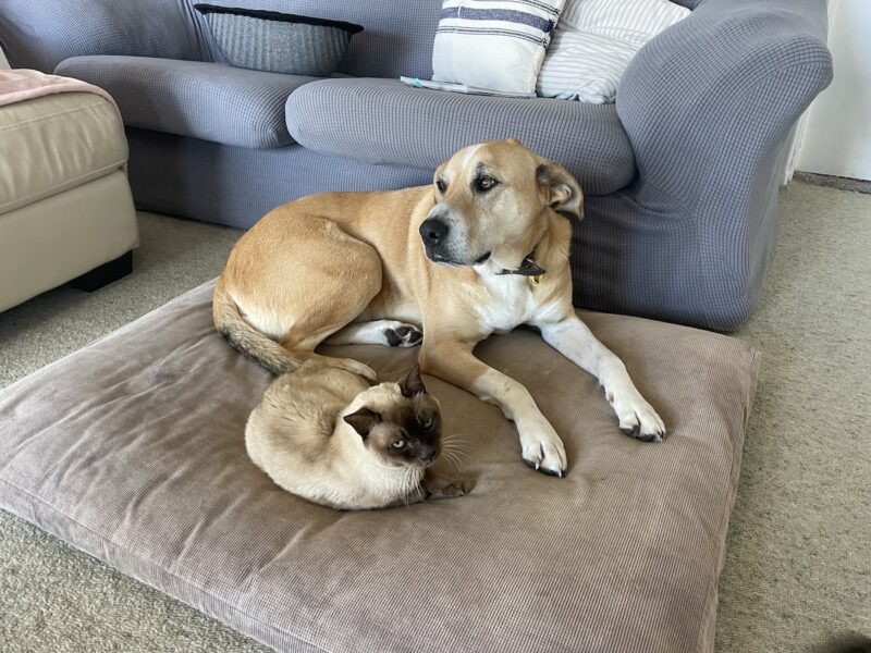 Emotional well-being