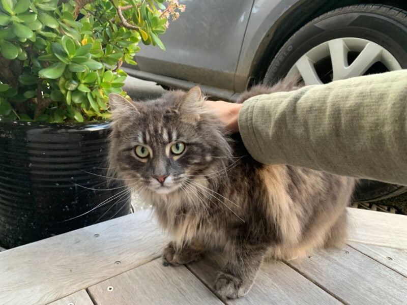 A bit cautious before the treat came out.