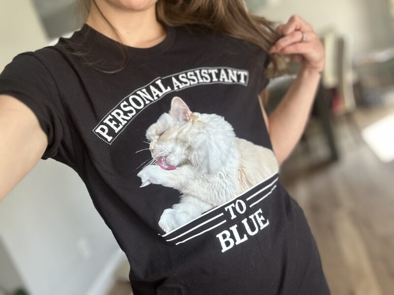 Amanda wearing her Personal Assistant to Blue shirt