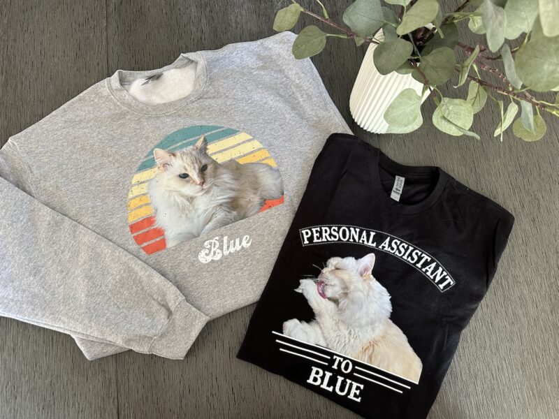 Amanda's personalized pet apparel featured Blue