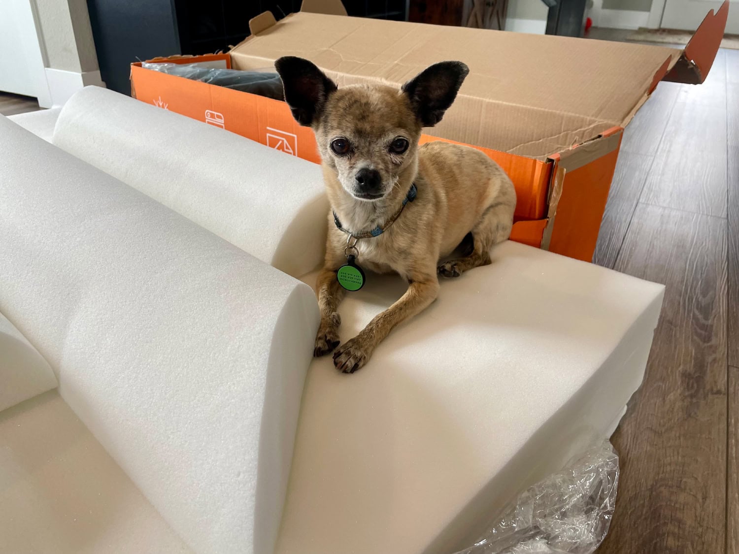 Big Barker Orthopedic Dog Bed - papyrus lying on the foam of the bed