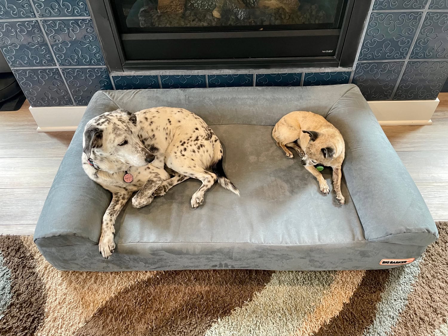 Big Barker Orthopedic Dog Bed - ragz and papyrus lying on both sides of the bed