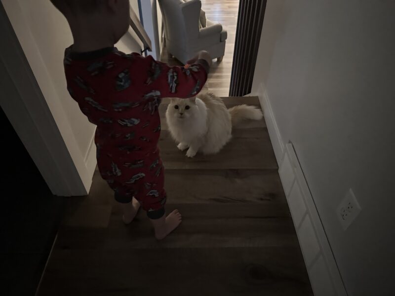 Blue's early wakeup calls