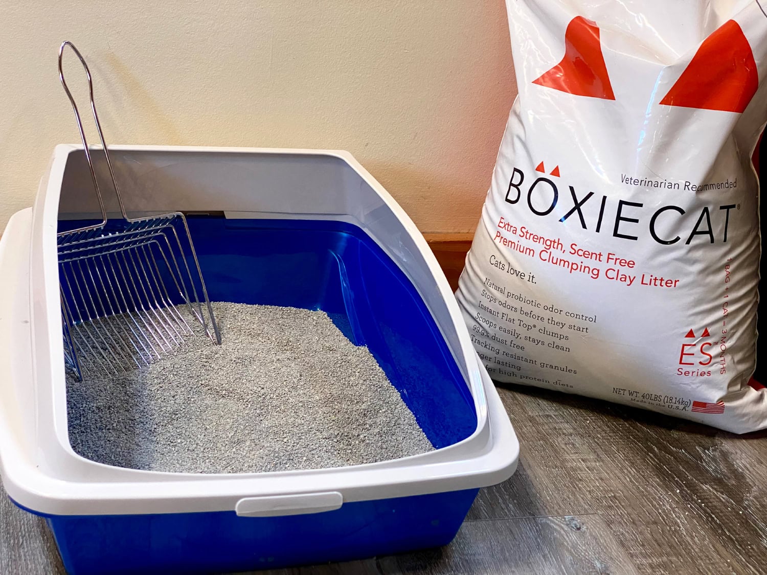 BoxieCat Cat Litter - cat litter in the litter box with a scoop