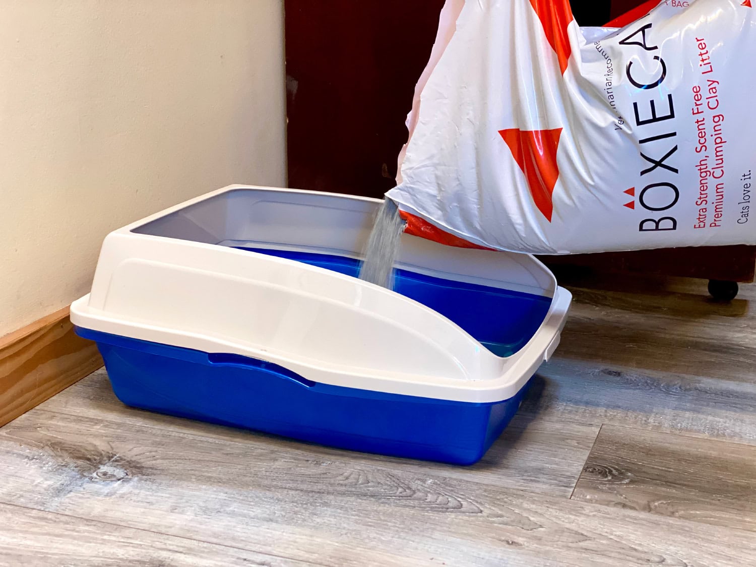 BoxieCat Cat Litter - pouring cat litter to the litter box