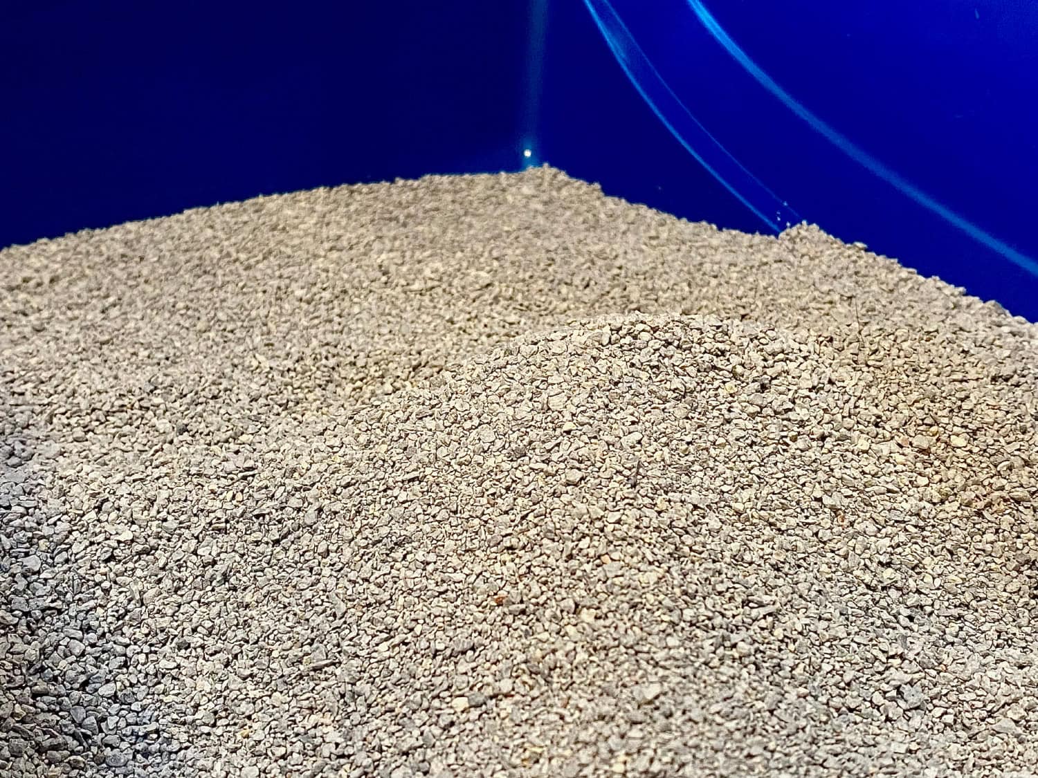 BoxieCat Cat Litter.jpg - close up of the litter