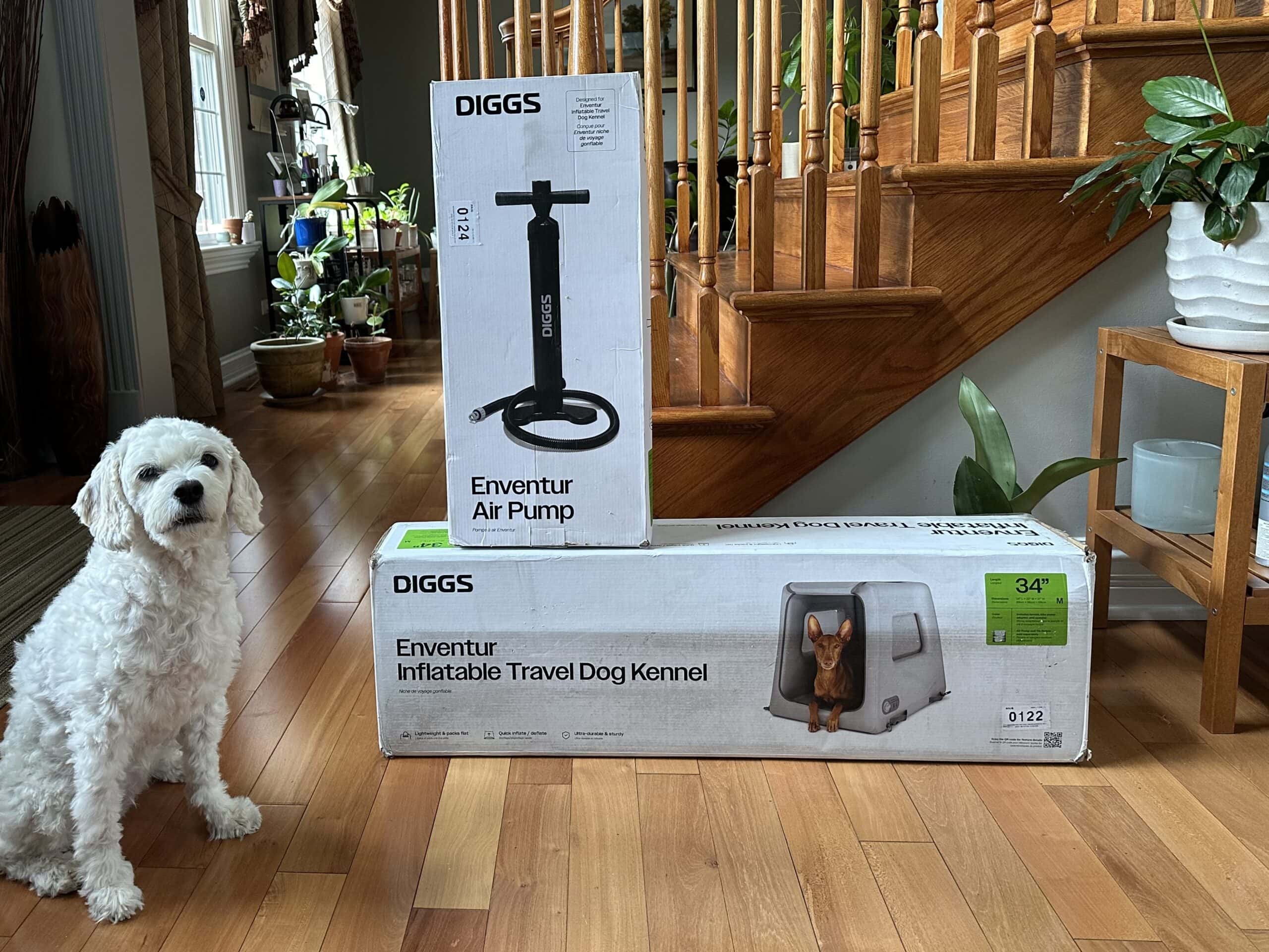 Diggs Dog Travel Kennel on wooden floor