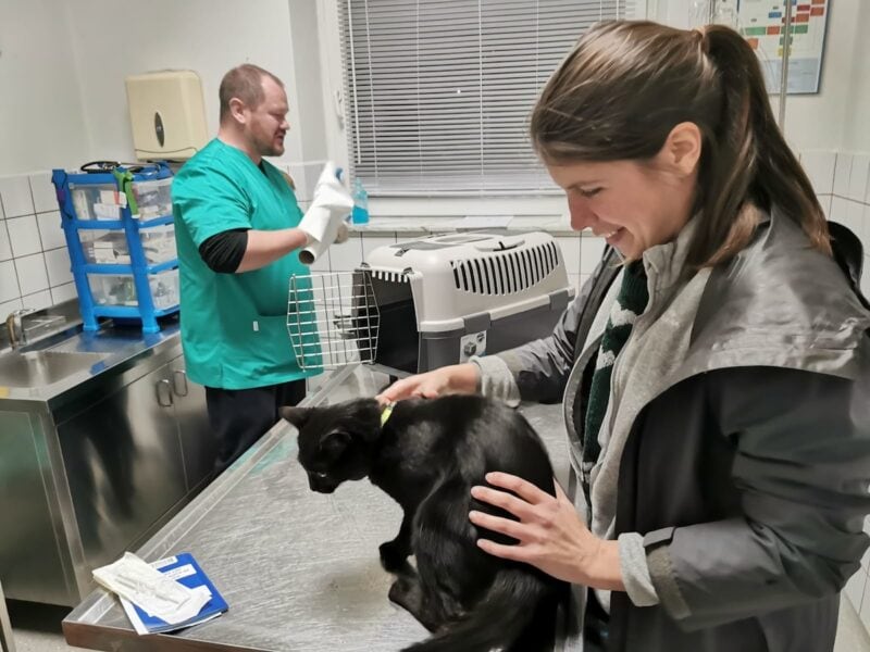 Dr. Maja taking Miki to the vet