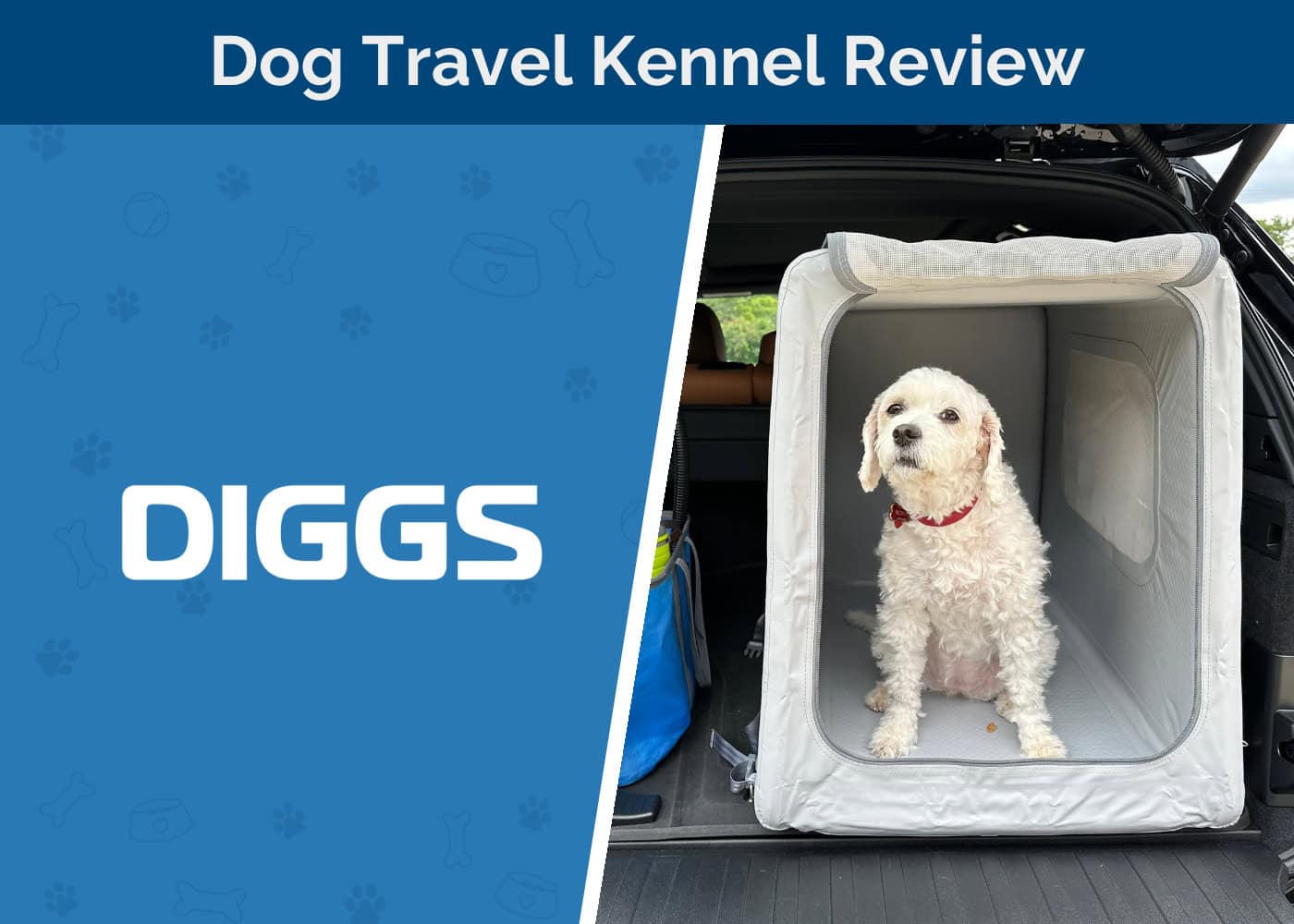 Diggs Dog Travel Kennel