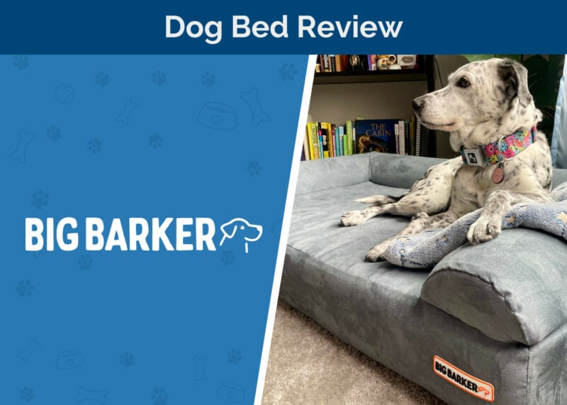 Big Barker Orthopedic Dog Bed