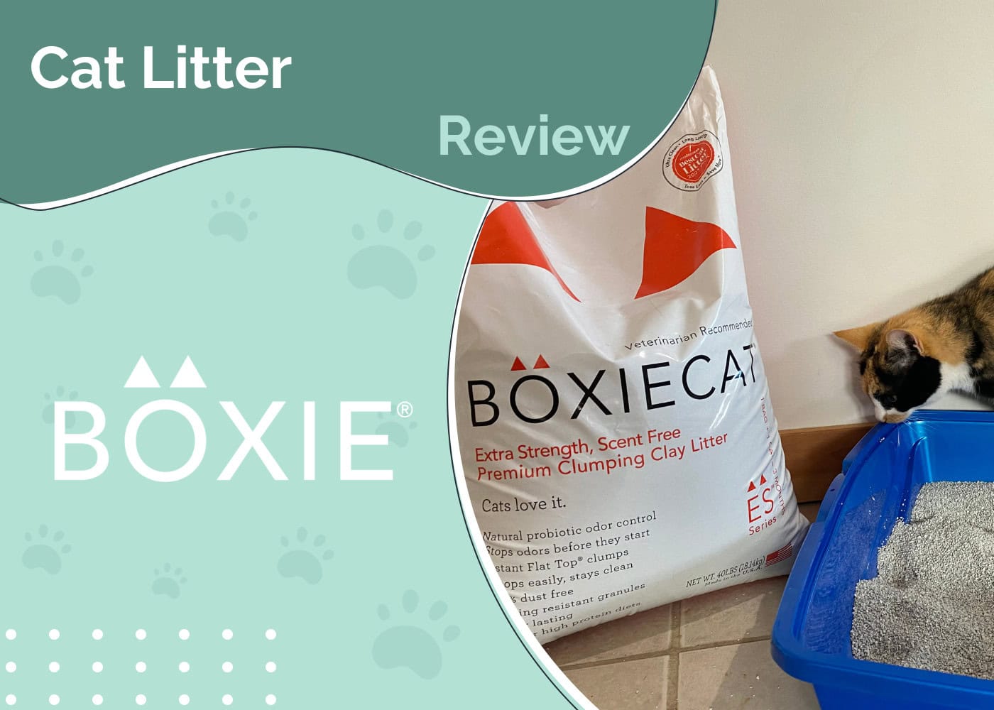 BoxieCat Cat Litter