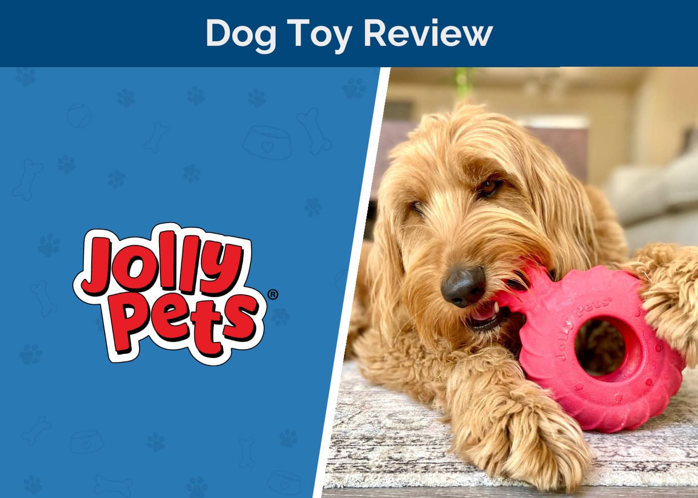 Jolly Pets Dog Toy