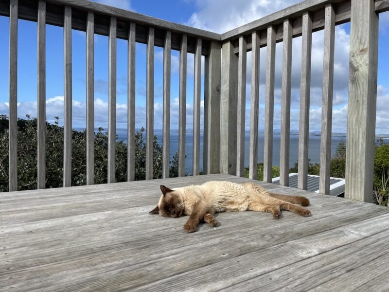 Holiday mode activated.