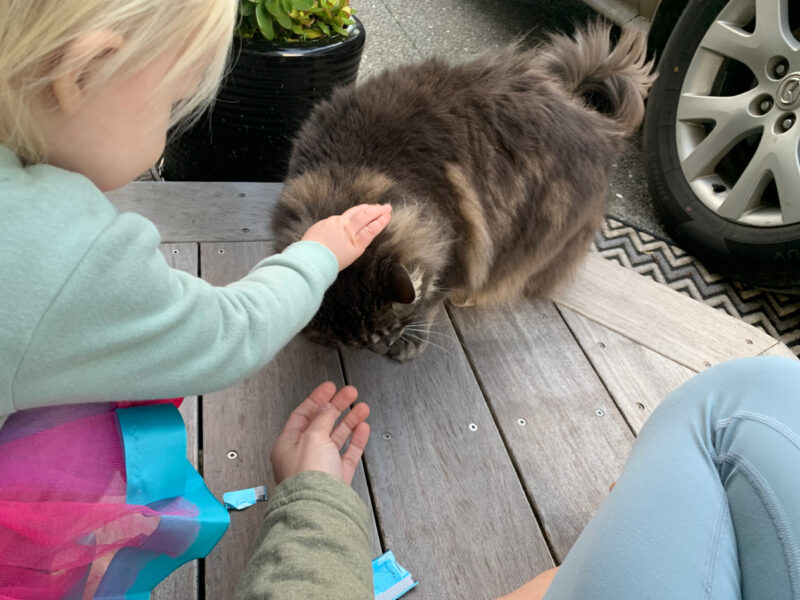 Kalani and Nicole petting Tommy