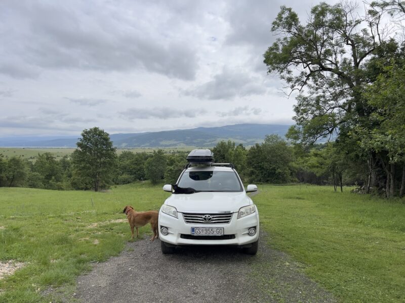 Miki and Lava outside by the car