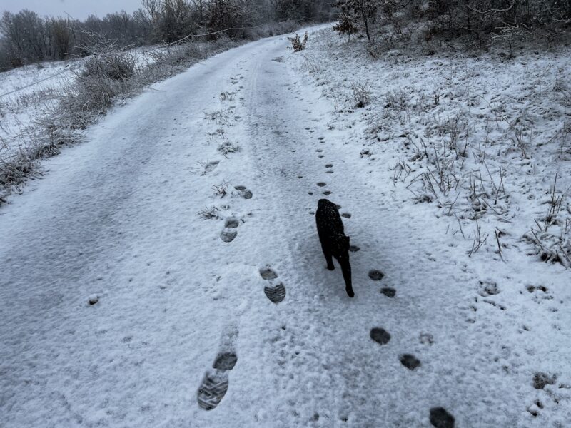 Miki walking on the snowy road