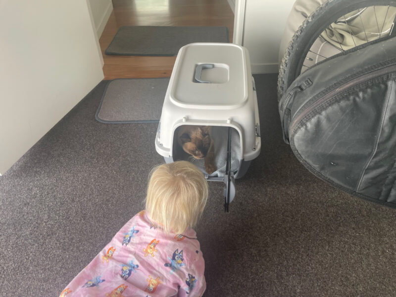 Welcome to your holiday home.