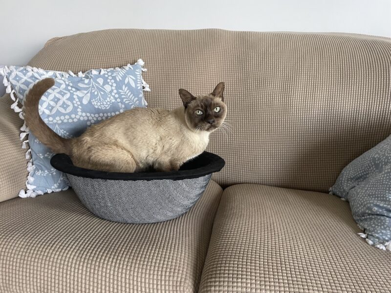 Why are you taking so many photos of me, mom?