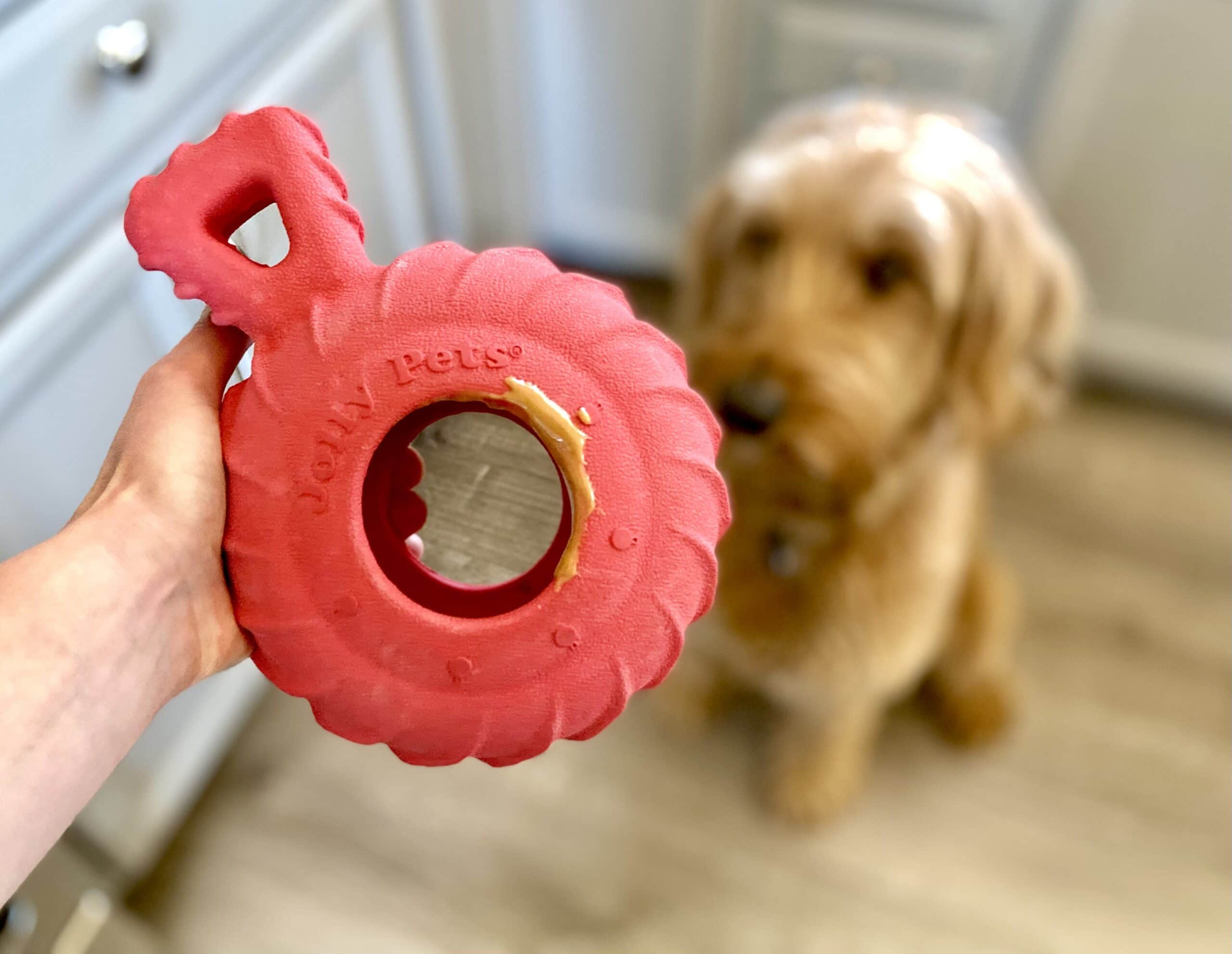 human hand holding the toy with peanut butter