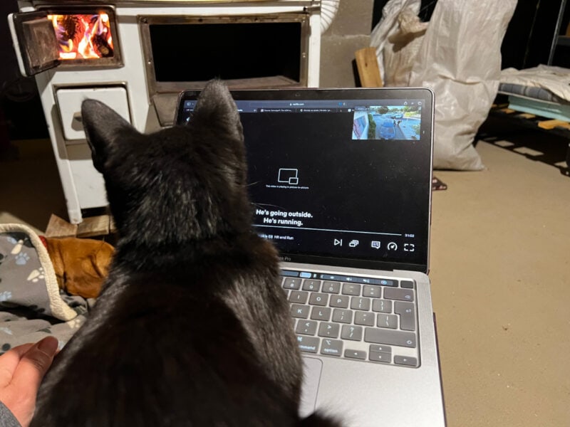 miki watching videos on the laptop