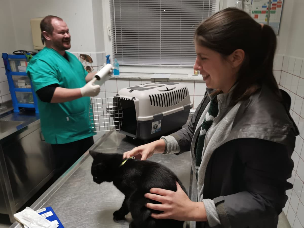 Maja and Miki in vet clinic