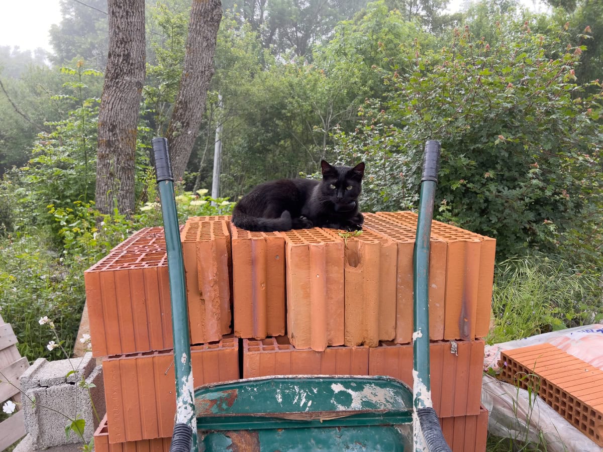 miki lying on stack up bricks