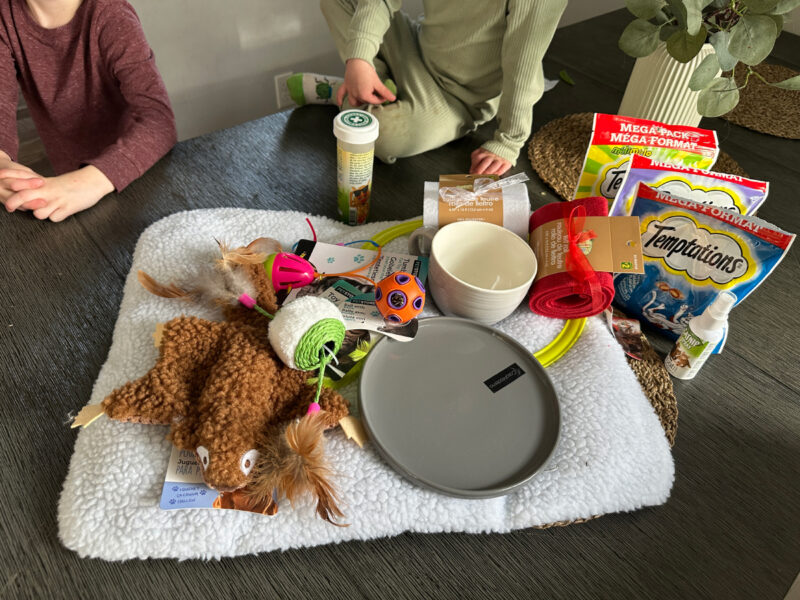 toys and treats for Blue