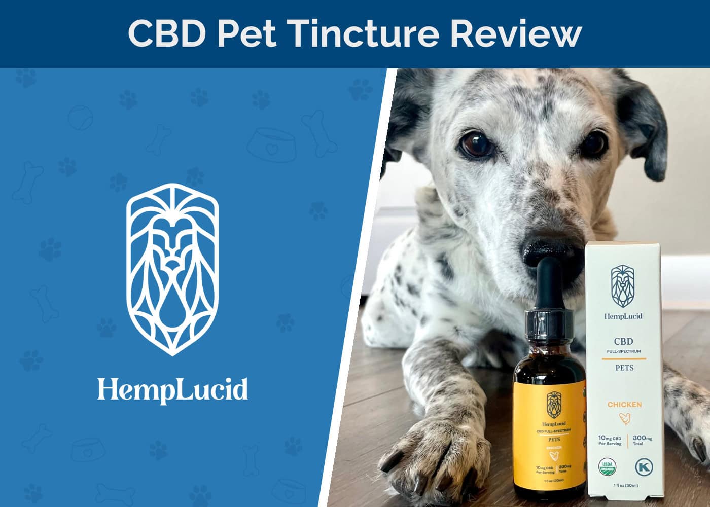 HempLucid CBD Pet Tincture