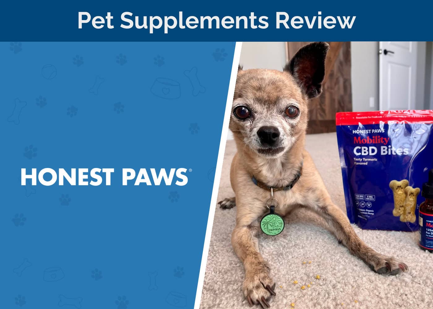 Honest Paws Products Review - feature image
