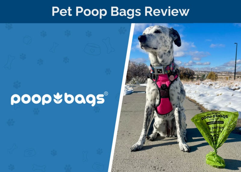 The Original Poop Bags Review - feature image