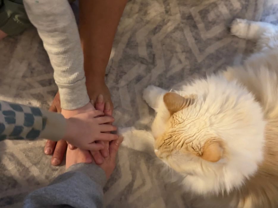 Hands in with uninterested Blue