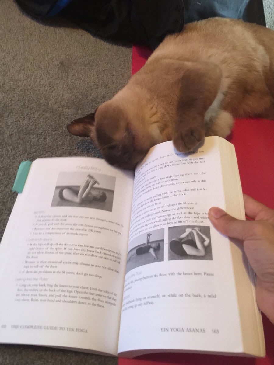 Helping me study, unsurprisingly, he loved the 'Happy Baby' pose.