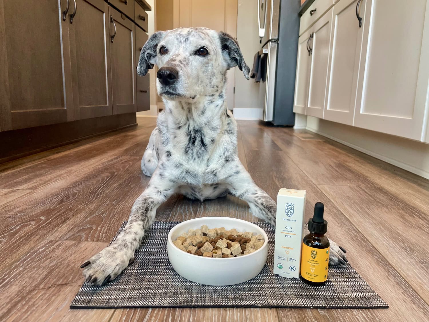 HempLucid Organic Full-Spectrum CBD - Ragz lying on the floor with a bowl of dog food and the CBD oil