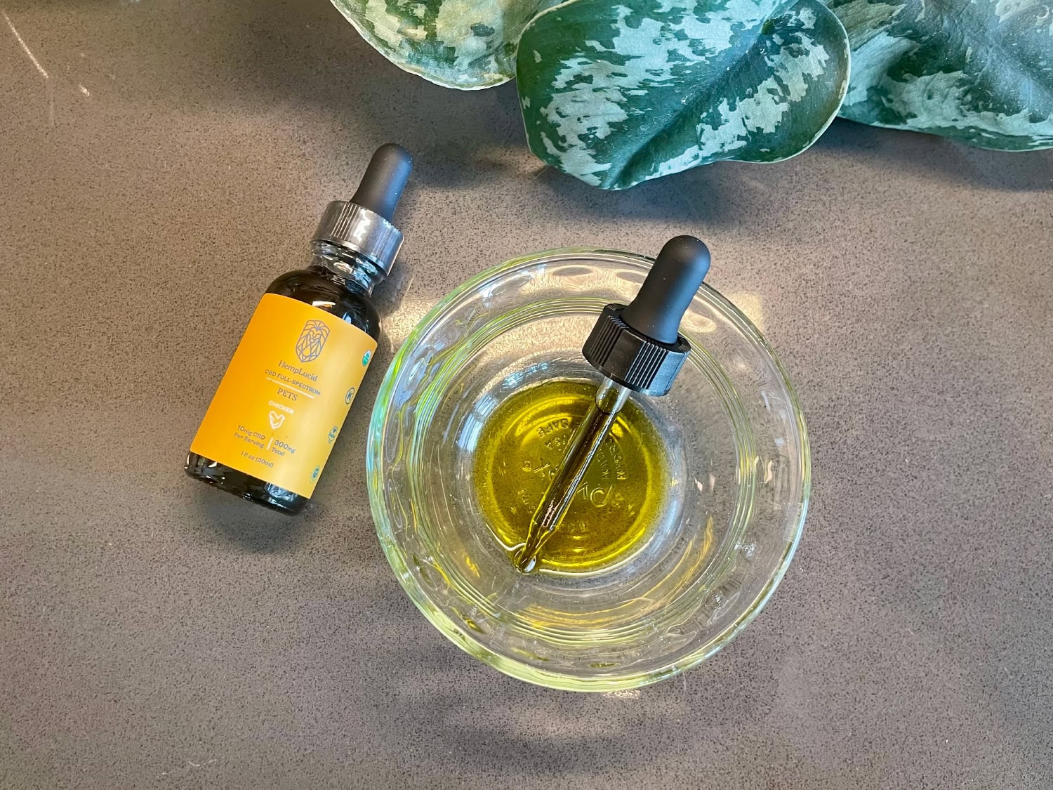 HempLucid Organic Full-Spectrum CBD - dropper and bowl with CBD oil