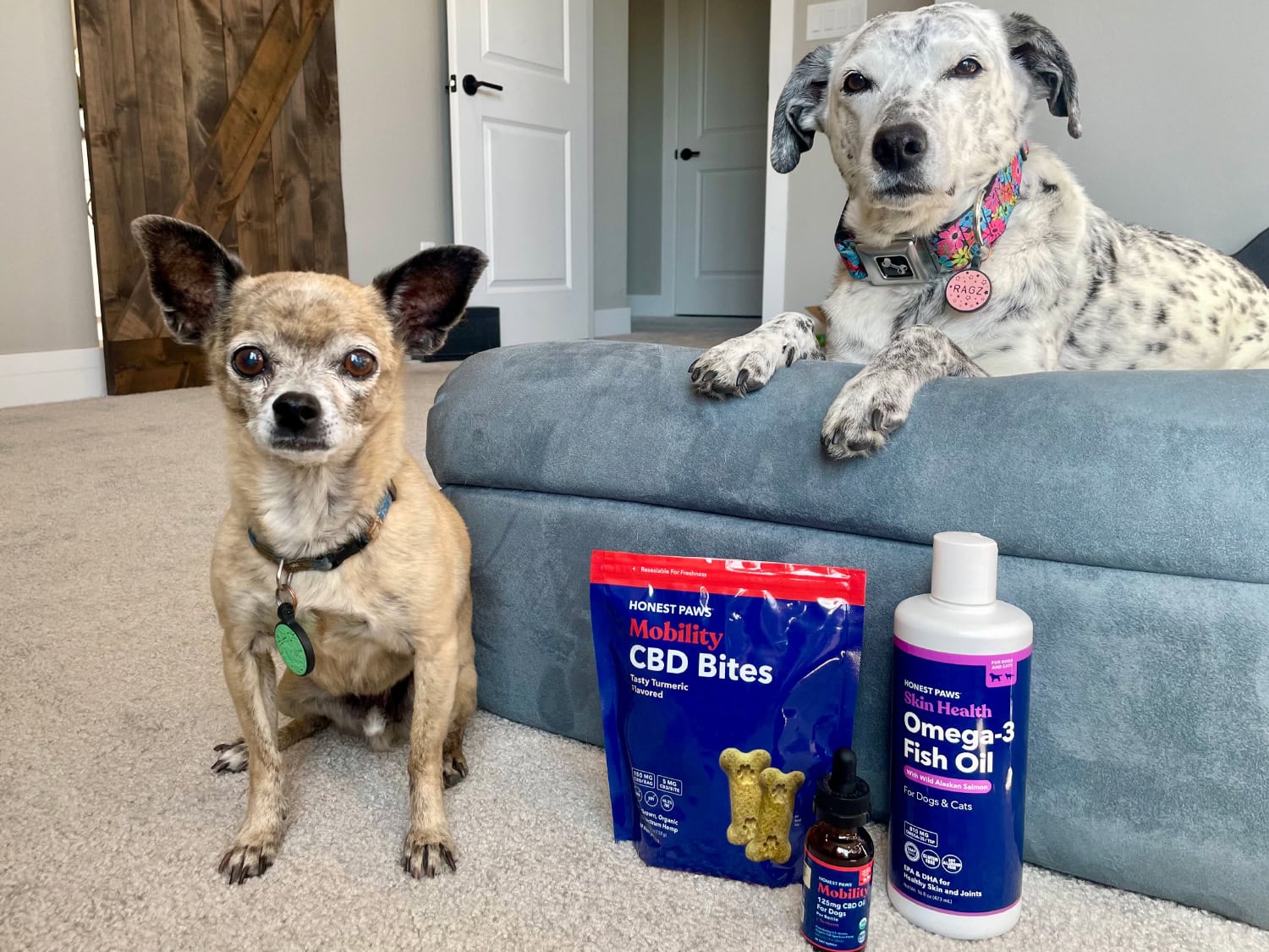 Honest Paws Products Review - Papyrus and Ragz with the products