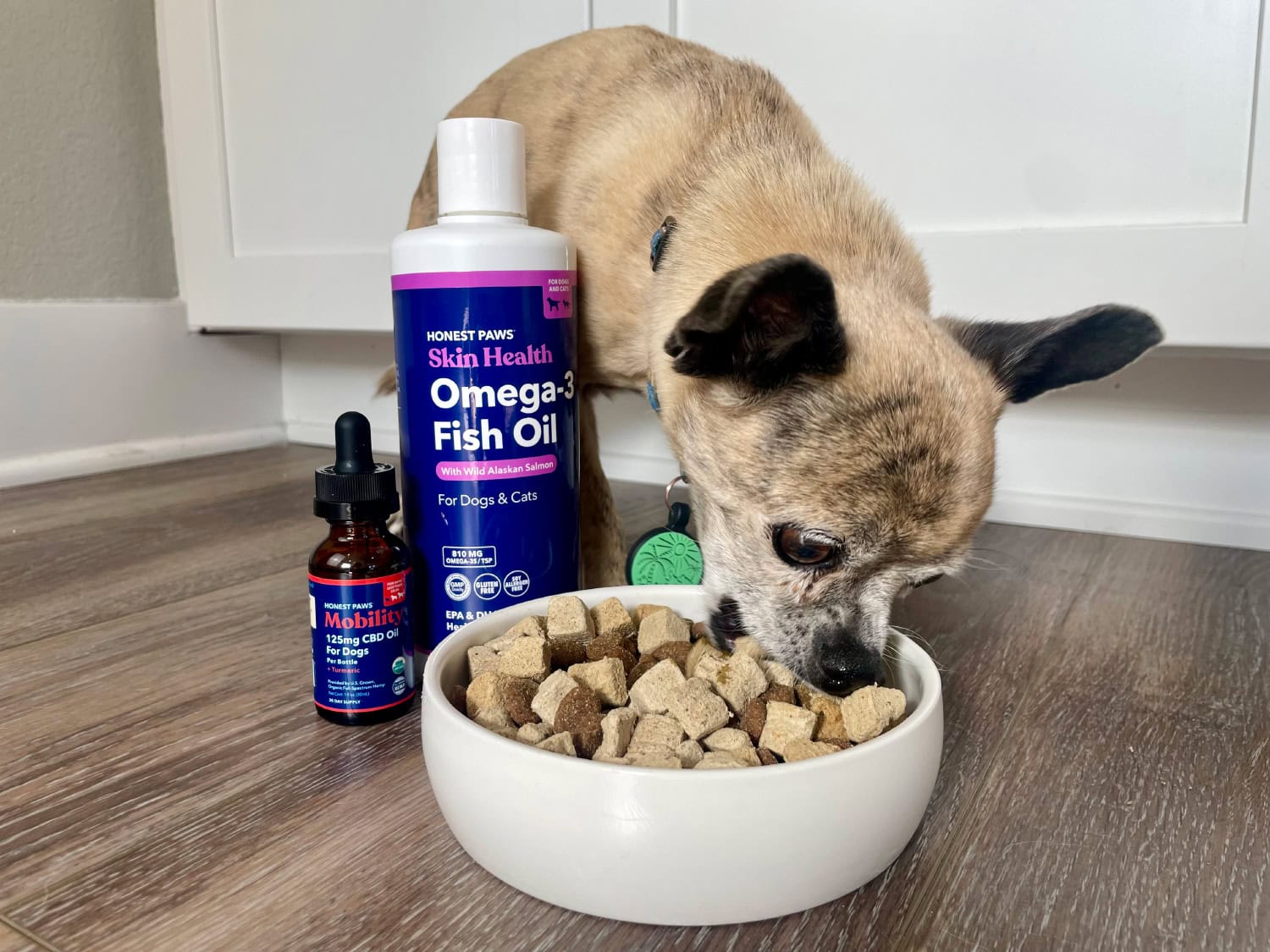 Honest Paws Products Review - Papyrus eating dog food with CBD