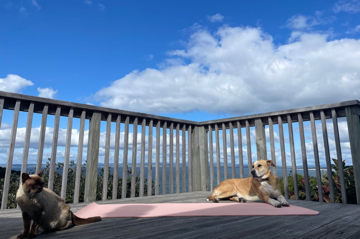 Teaching his brother Mac the way