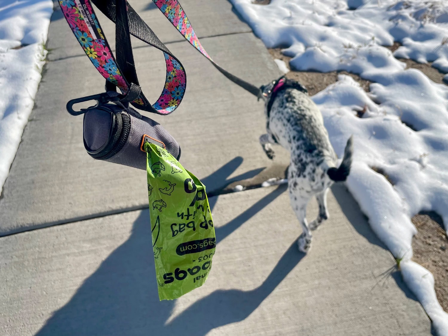 The Original Poop Bags Review - leash roll poop bag attached to Ragz' leash