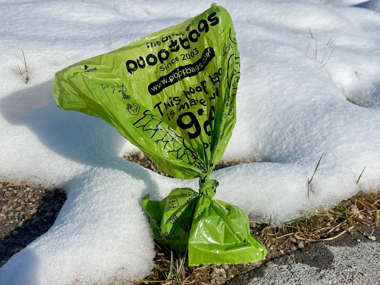 The Original Poop Bags Review - poop bag on the ground