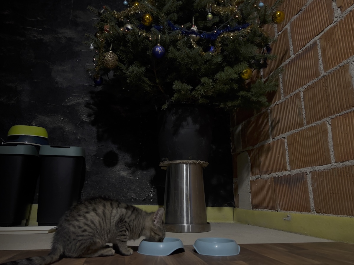 Minnie eating in front of the decorated Christmas tree