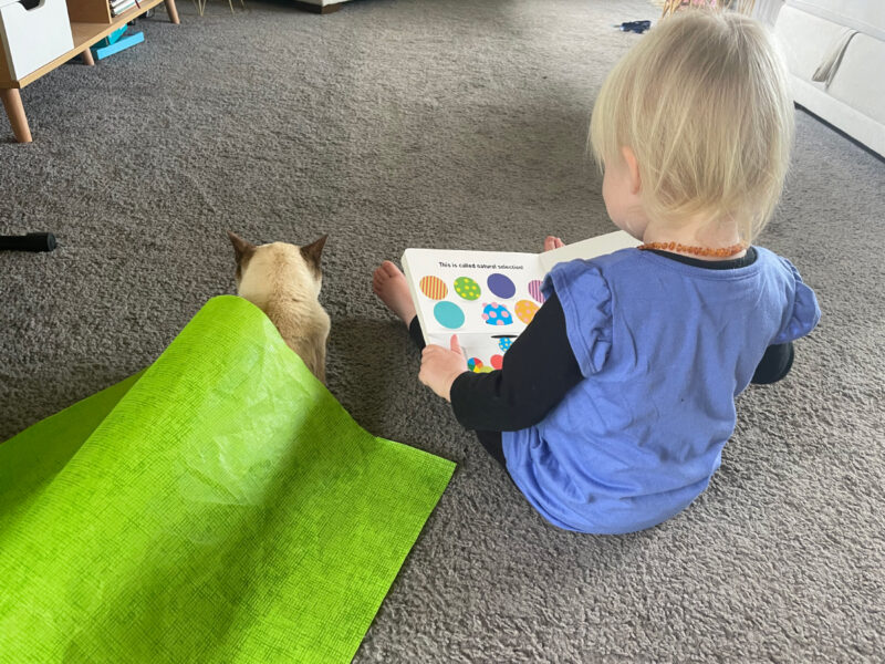 Reading Evolution for Babies to our dying cat, toddler's choice. Didn't know she was such a fan of dark comedy.