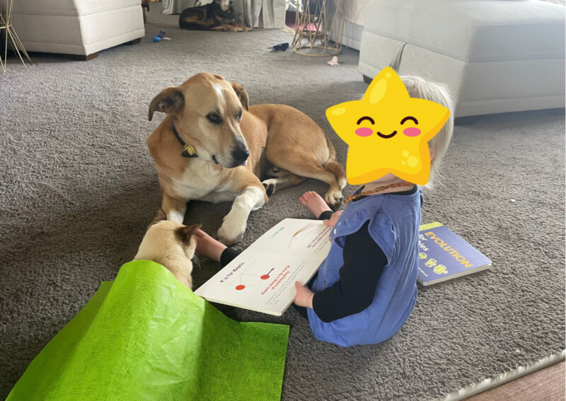 The boys joining for story time, Rosa in the back listening from afar. This will forever be one of my favorite photos and moments, even though there are weighted emotions, this is love in its purest form.